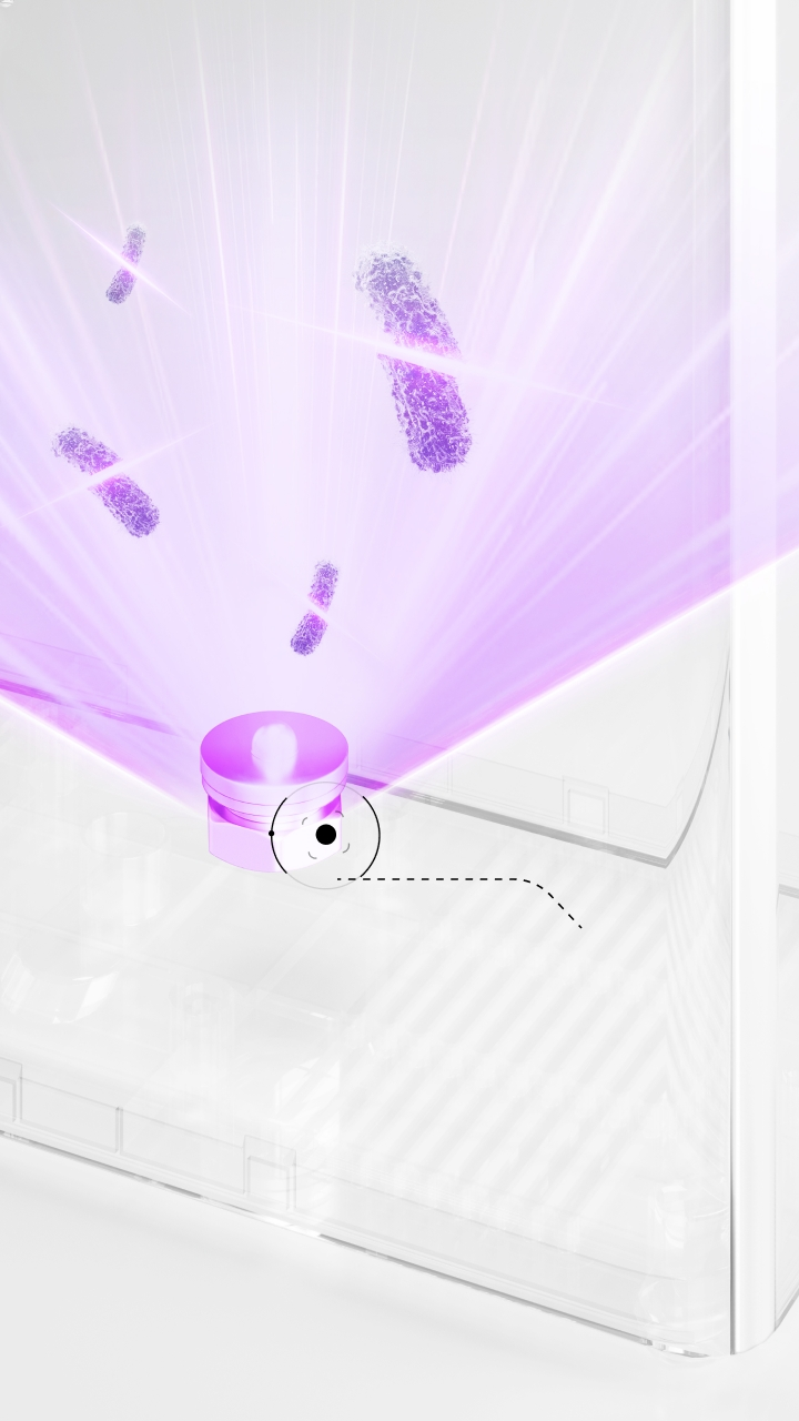 UV Sterilization